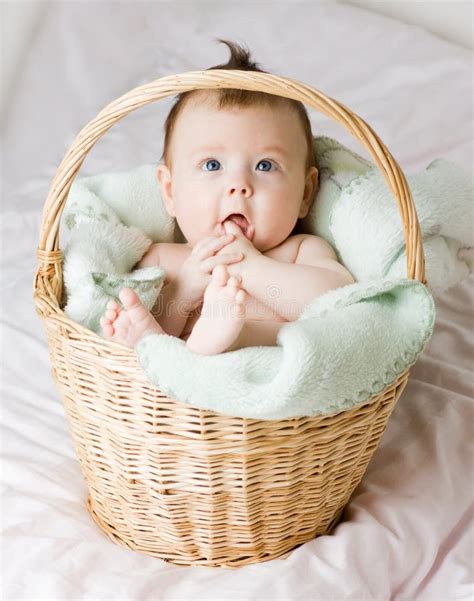 Baby In Basket Stock Image Image Of Haired Little Look 4136075