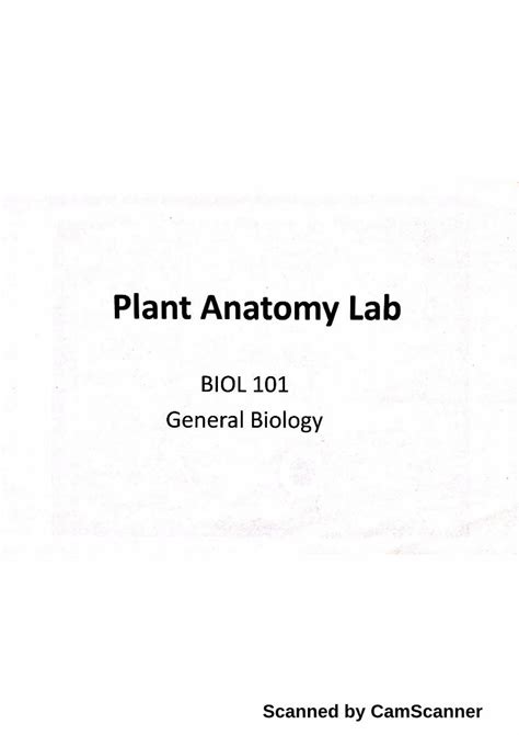 Pdf Plant Anatomy Lab Part 1 Biol 101 Dokumentips