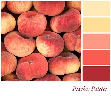 Peach Hues Color Palette Color Palette Pink Peach Color Palettes My Xxx Hot Girl