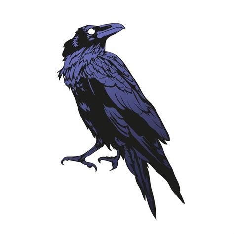 Download Crow Vector Illustration Black Horror Raven For Free Crows Drawing Raven Art Crow Art
