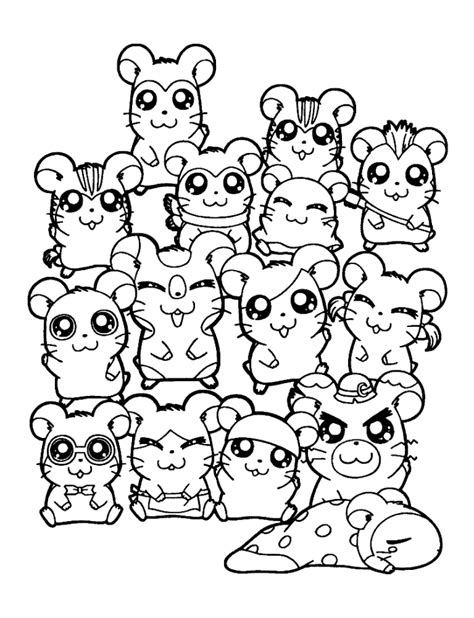 Hamtaro Characters Coloring Page Cartoon Coloring Pages On Cartoon