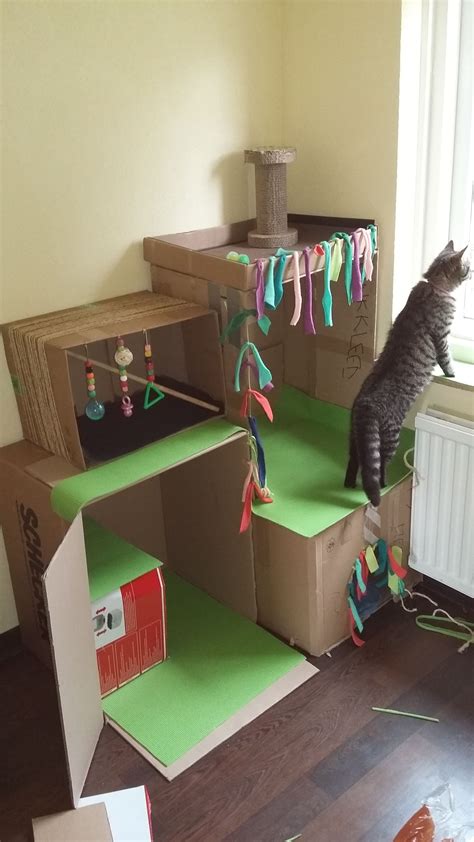 Diy Cardboard Cat House Photos