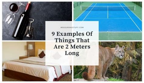 9 Examples Of Things That Are 2 Meters Long Measuring Stuff