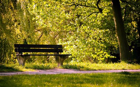Bench Wallpapers Hd Desktop And Mobile Backgrounds