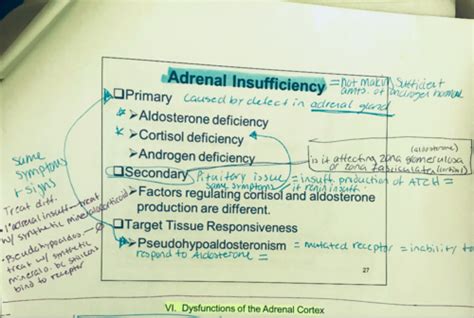 Dysfunctions Of The Adrenal Cortex And Adrenal Medulla Flashcards Quizlet