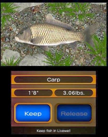 Review Reel Fishing Paradise 3d 3ds Digitally Downloaded