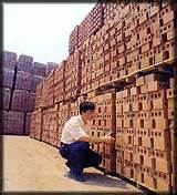 Check spelling or type a new query. Clayon - Facing Bricks Common Bricks Block Bricks Brick ...