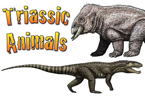 Triassic Animals Discover The Animals That Lived In The