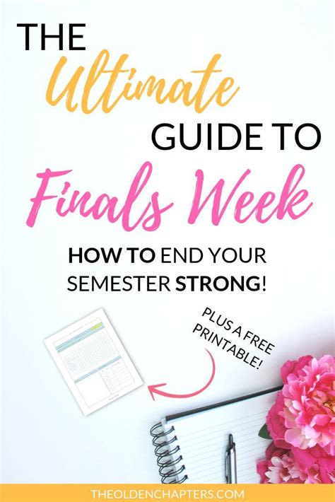 Check Out The Best Finals Week Tips For College Students This Survival