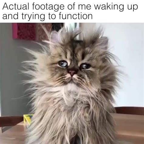 Actual Footage Of Me Waking Up Actual Footage Of Me Waking Up By