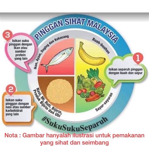 Ia juga mengekalkan sel darah merah tetap di dalam darah. Pinggan Suku-Suku Separuh Pinggan Diet Orang Dewasa suku ...