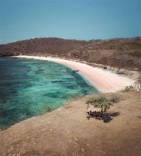 Pantai Pasir Pink Di Lombok Homecare24