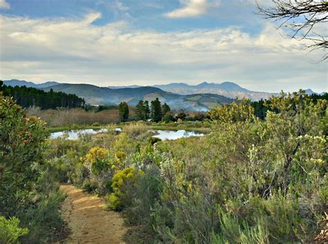 Helderberg Nature Reserve Somerset West South Africa Great Hiking