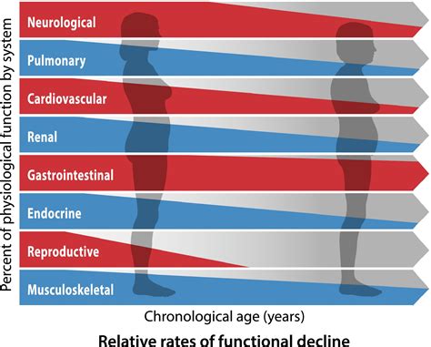 Physiological Changes During Exercise