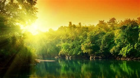 Ağaçlar Nehir Gün Doğumu Güneşli Bir Gün Sabah Dolu Hd Duvar Kağıdı