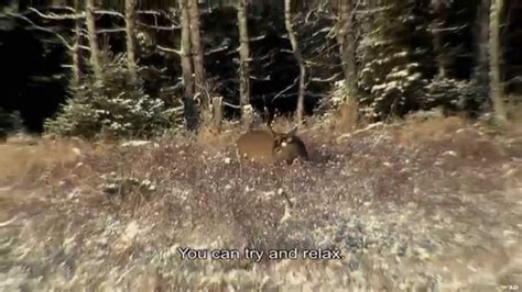 Deer Hunting On Anticosti Island Youtube
