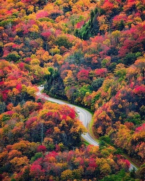 “a Road Runs Through It” Fall Colors In The Great Smoky Mountains