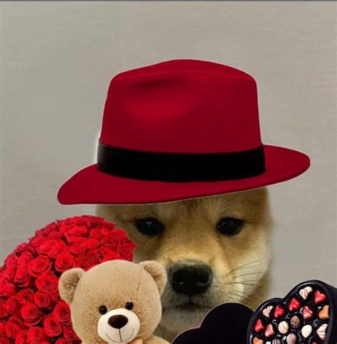 Pin By Stilly On Dog With Hat Dog Images Dog Icon Doggy