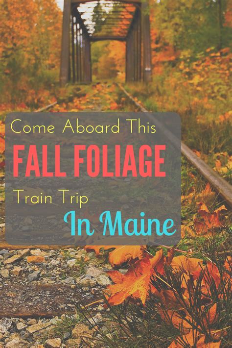 Take This Fall Foliage Train Ride Through Maine For A One Of A Kind