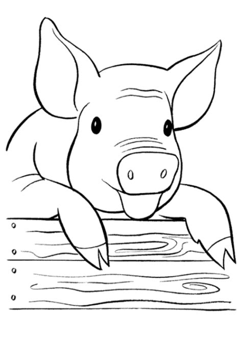 Gratis malvorlagen schweine downloaden und ausdrucken. 31 Schwein Zum Ausmalen - Besten Bilder von ausmalbilder