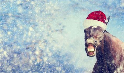 Weird And Wacky Christmas Traditions Around The World North Coast Courier