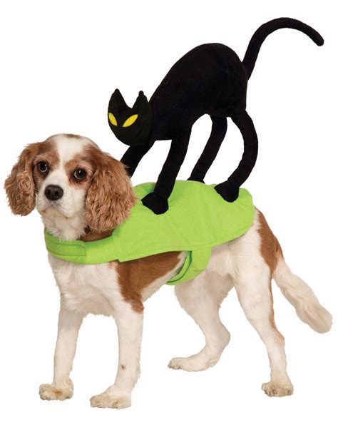 The Cutest Cat And Dog Halloween Costumes Ebay