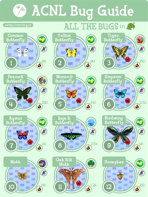 Animal Crossing Bug Guide New Leaf Yoiki Guide