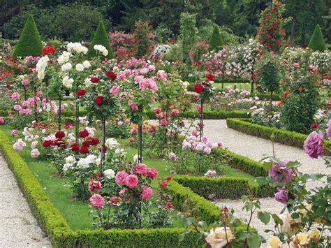 Rosengarten Parc Bagatelle Paris In 2020 Rose Garden Design Rose