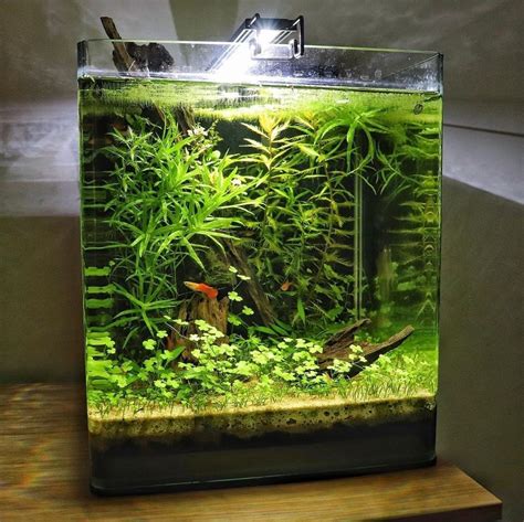 15 Gallon Fish Tank In Litres Wese Aquarium Fish