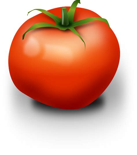 Tomato Png Images Transparent Free Download Pngmart