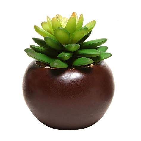 New Potted Artificial Mini Succulent Plants Set Of 3 Dark Brown