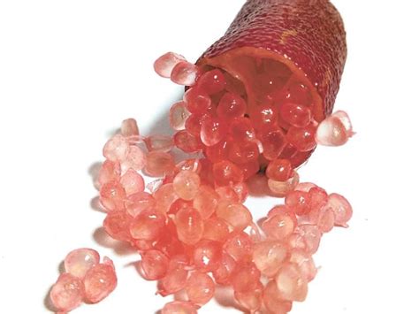The Somewhat Rare Australian Red Lime Will Yield Striking Red Two Inch Long Fruit Each Fruit
