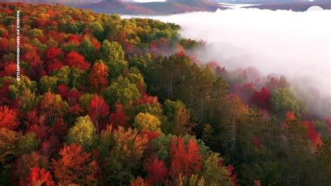 Fall leaves burst with color in breathtaking drone video