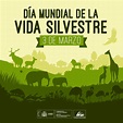 Día Mundial de la Vida Silvestre | IES LA JANDA