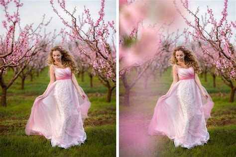 30 Sakura Photo Overlays Photoshop Overlay Digital Overlay Flower