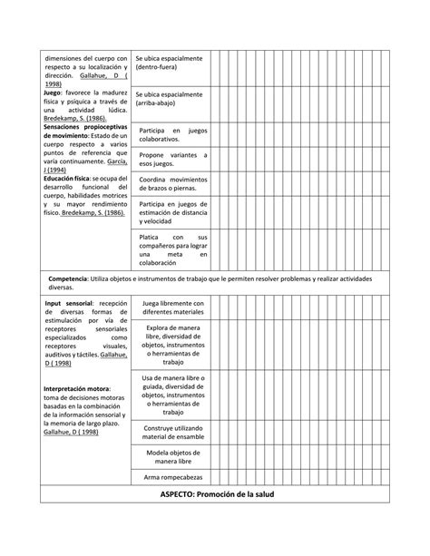 Plan De Observación By Kinne Franco Issuu