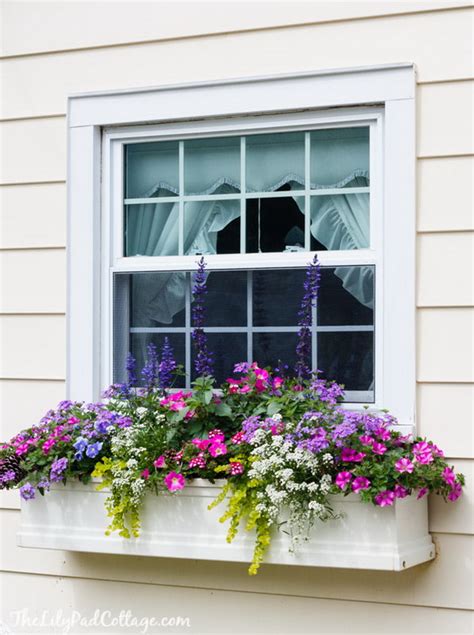 Some window boxes can be shipped to you at home, while others can be picked up in store. 25 Creative Window Boxes - Hative