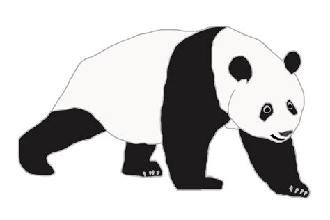 Logo Illustration Graphic Of Panda 17901580 Png