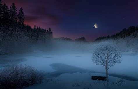 Nature Landscape Mist Lake Snow Forest Moon Shrubs Trees Frost Hill