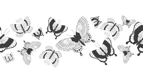Butterfly Border Vector Art Icons And Graphics For Free Download
