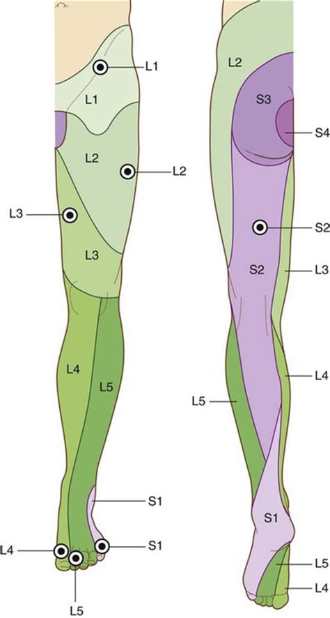 Lower Limb Clinical Gate