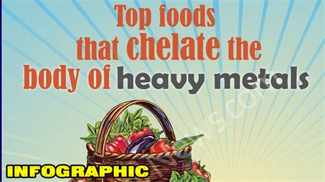 Join the minister of wellness unleashed news. Top Foods that Chelate the Body of Heavy Metals - Infographic
