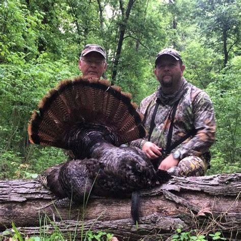 Kentucky Turkey Hunting Western Kentucky Outdoors
