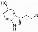 Image result for Serotonin