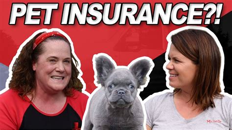 Should I Get Pet Insurance for My Dog? - YouTube
