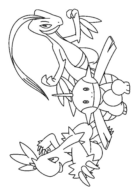 Coloriage Pokémon Saphir Galifeu Flobio Et Massko