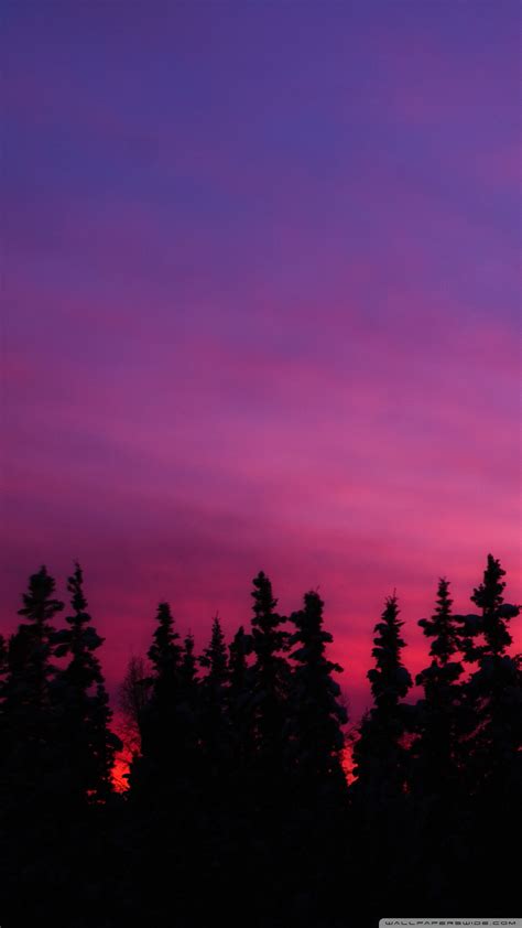 Pink Sunset Wallpaper Phone Download Share Or Upload Your Own One