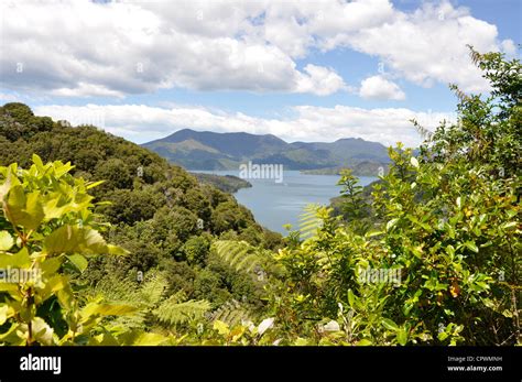 View Of The Queen Charlotte Sound As Seen From The Queen Charlotte