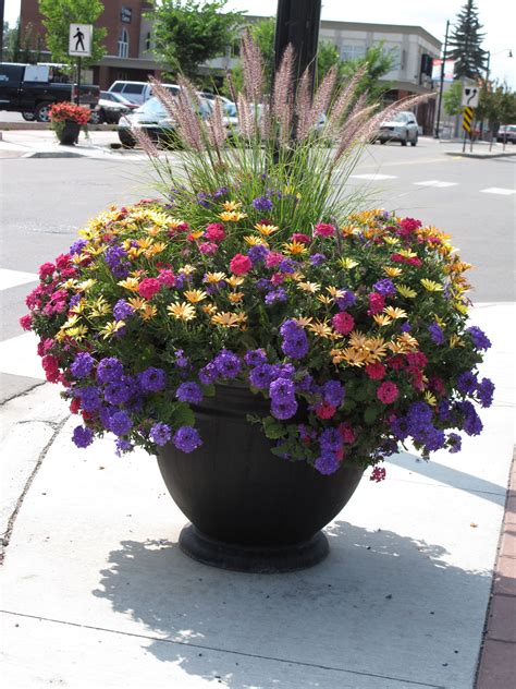 Backyard Gardening Tips Patio Flowers Flower Pots Outdoor Container