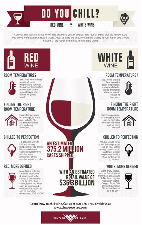 Do You Chill Red And White Wine Infographic Facts